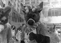 London Furmeet 20/07/2019