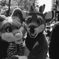 Manchester Furmeet 22/06/2019