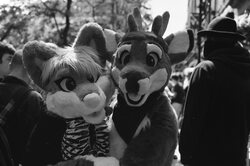 Manchester Furmeet 22/06/2019